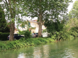 naviglio Martesana - Davide Cossu Berte