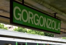 METRO GORGONZOLA